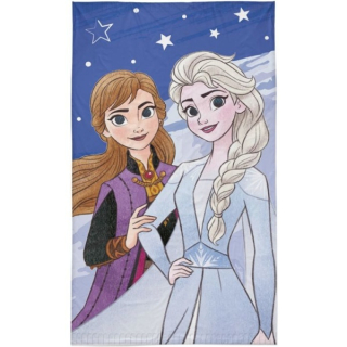 Dětský ručník Ledové království Anna a Elsa 30x50 cm