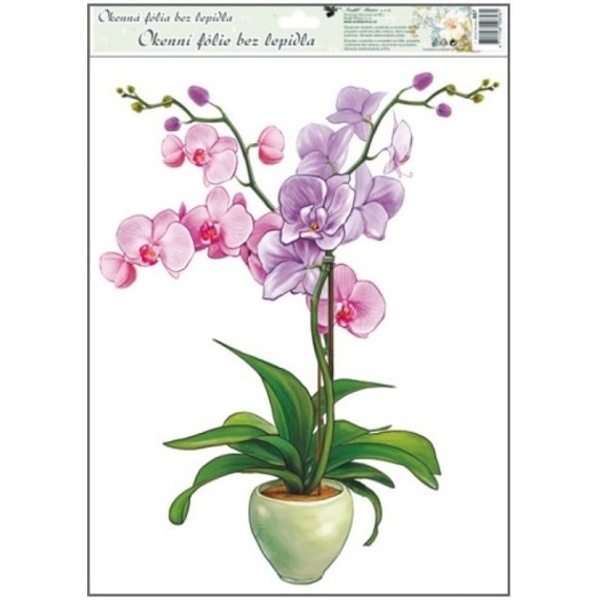 Okenní fólie Orchidej fialová 38 x 30 cm