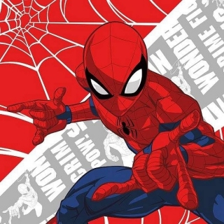 Magický ručníček Spiderman 30x30cm