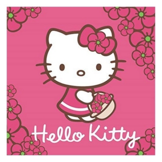 Magický ručníček Hello Kitty 30 x 30 cm