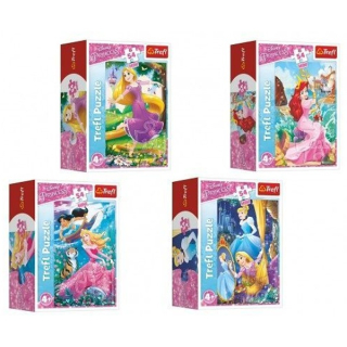 Minipuzzle Dobrodružný svět princezen 54 dílků v krabičce