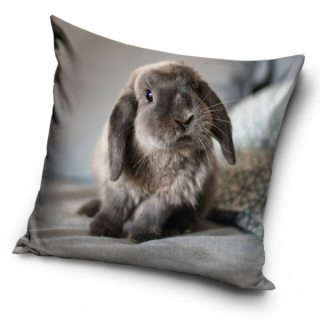 Dekorační polštářek Zakrslý králíček 40 x 40 cm